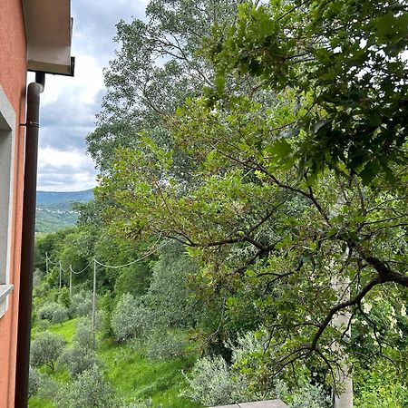 Ai 2 Olmi - Monolocali Nel Verde Muggia Luaran gambar