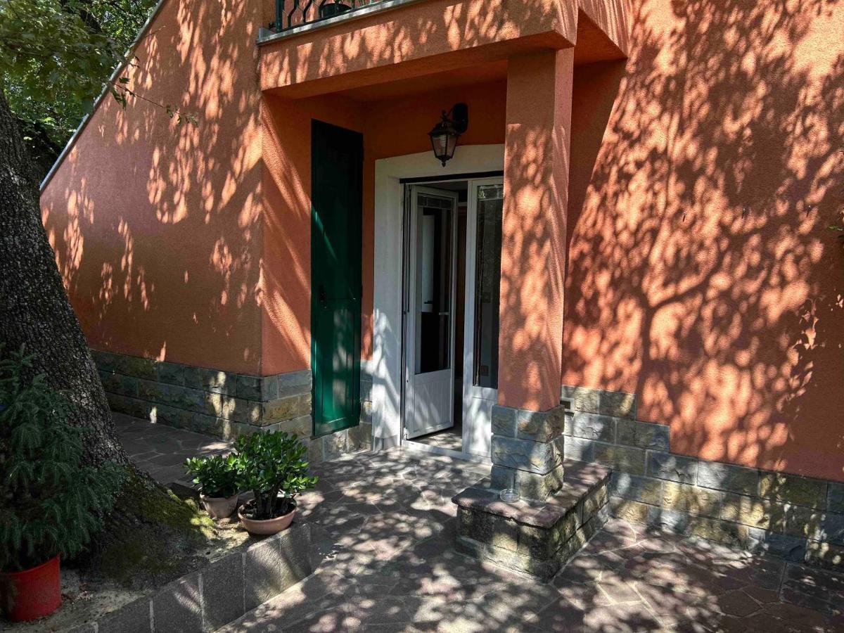 Ai 2 Olmi - Monolocali Nel Verde Muggia Luaran gambar