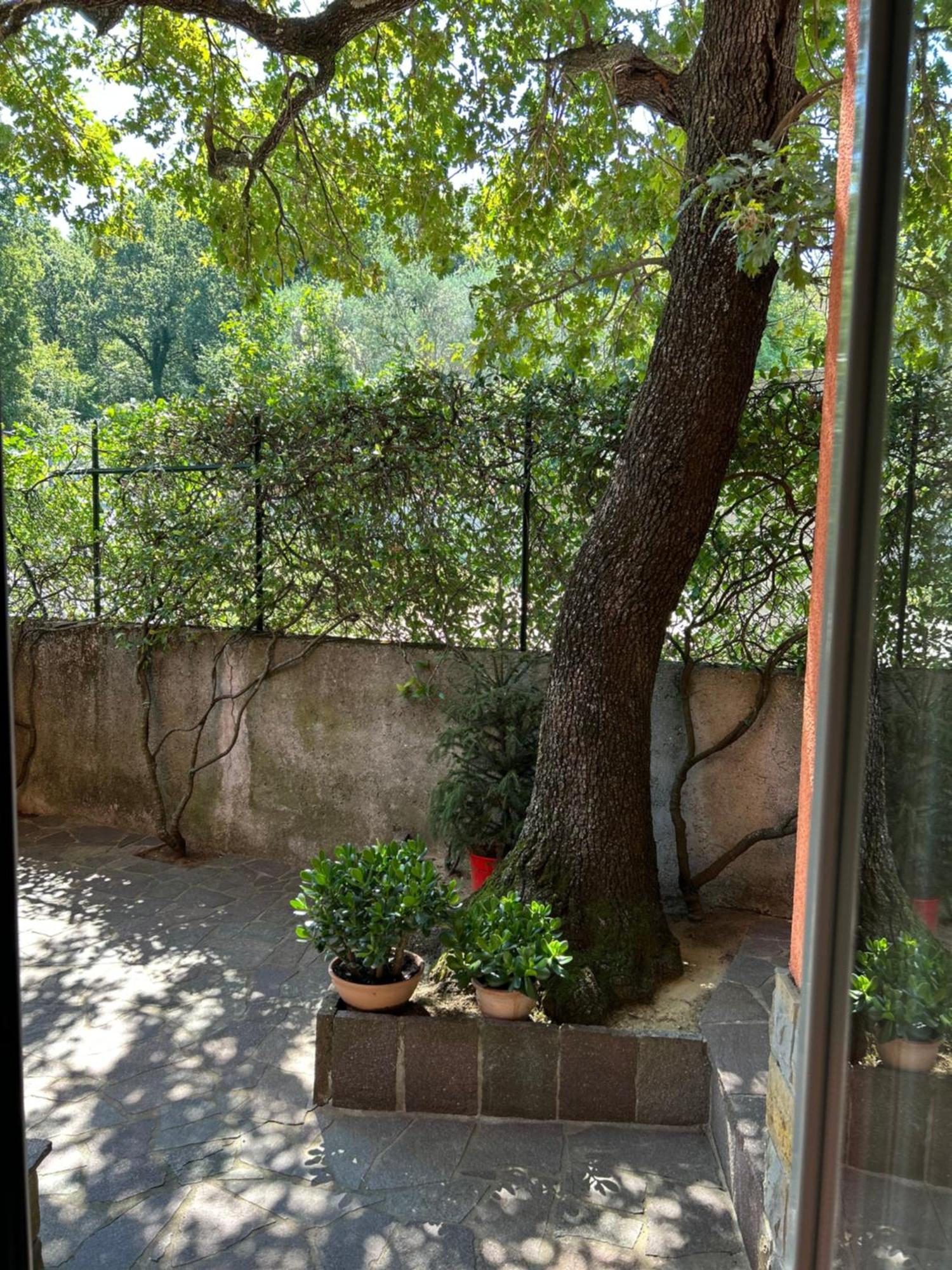 Ai 2 Olmi - Monolocali Nel Verde Muggia Luaran gambar