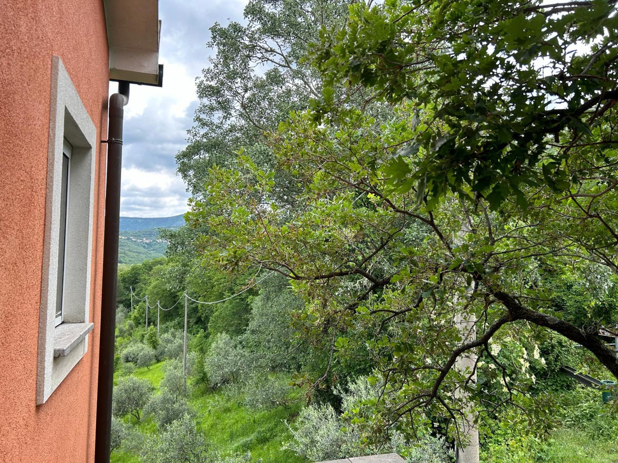 Ai 2 Olmi - Monolocali Nel Verde Muggia Luaran gambar